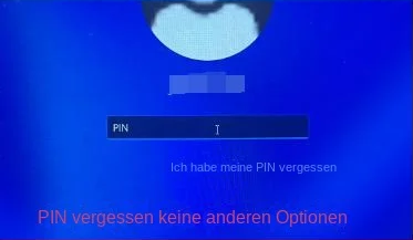 PIN vergessen keine anderen Anmeldemöglichkeiten