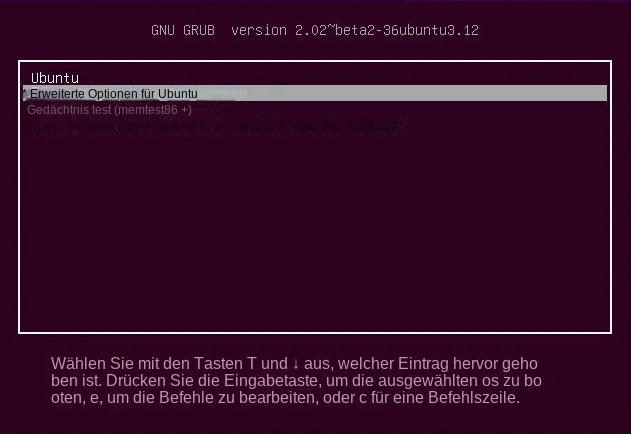 Erweiterte Optionen für Ubuntu