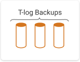 T-Log-Sicherung