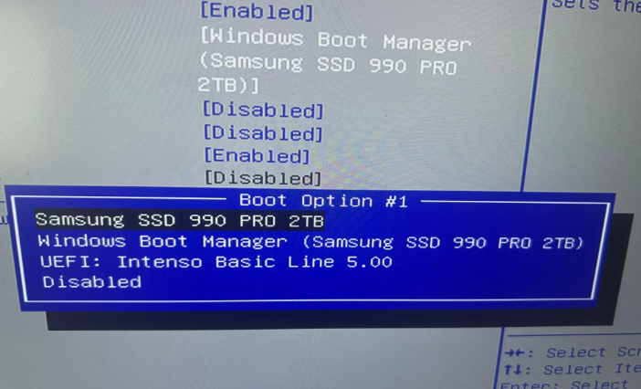 SSD in BIOS-Geräteliste