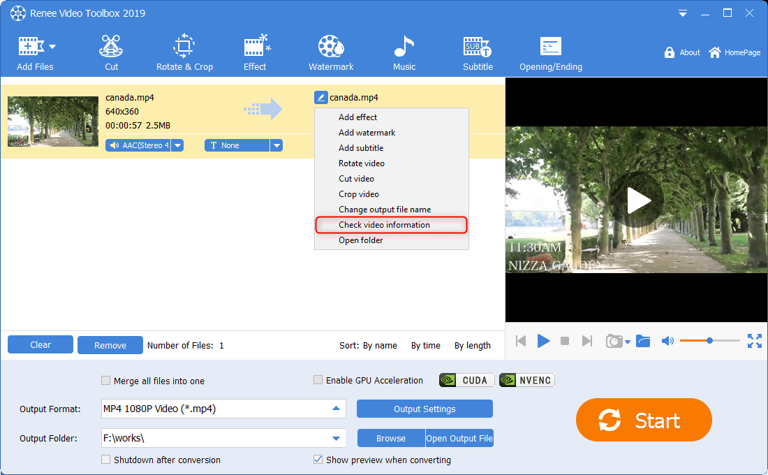 Informationen über das Video in renee video editor pro überprüfen