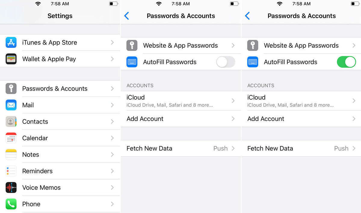 Wie verwalte ich mein Passwort auf dem iphone safari?