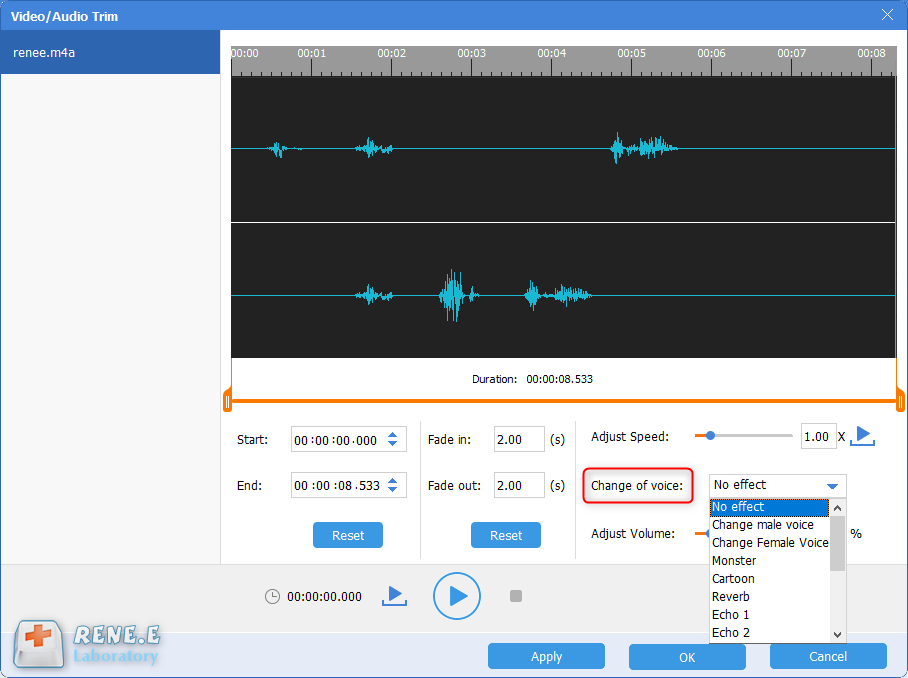 besondere stimme mit renee audio tools ändern