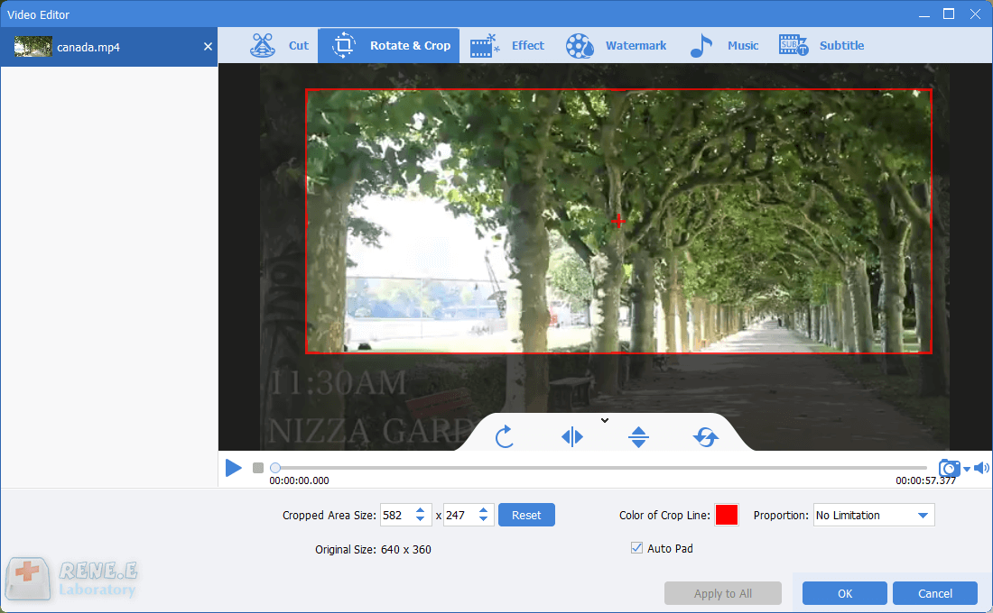 den Bereich aus einem Video in renee video editor pro beschneiden