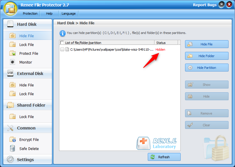 Prüfen Sie die versteckte Datei in Renee File Protector
