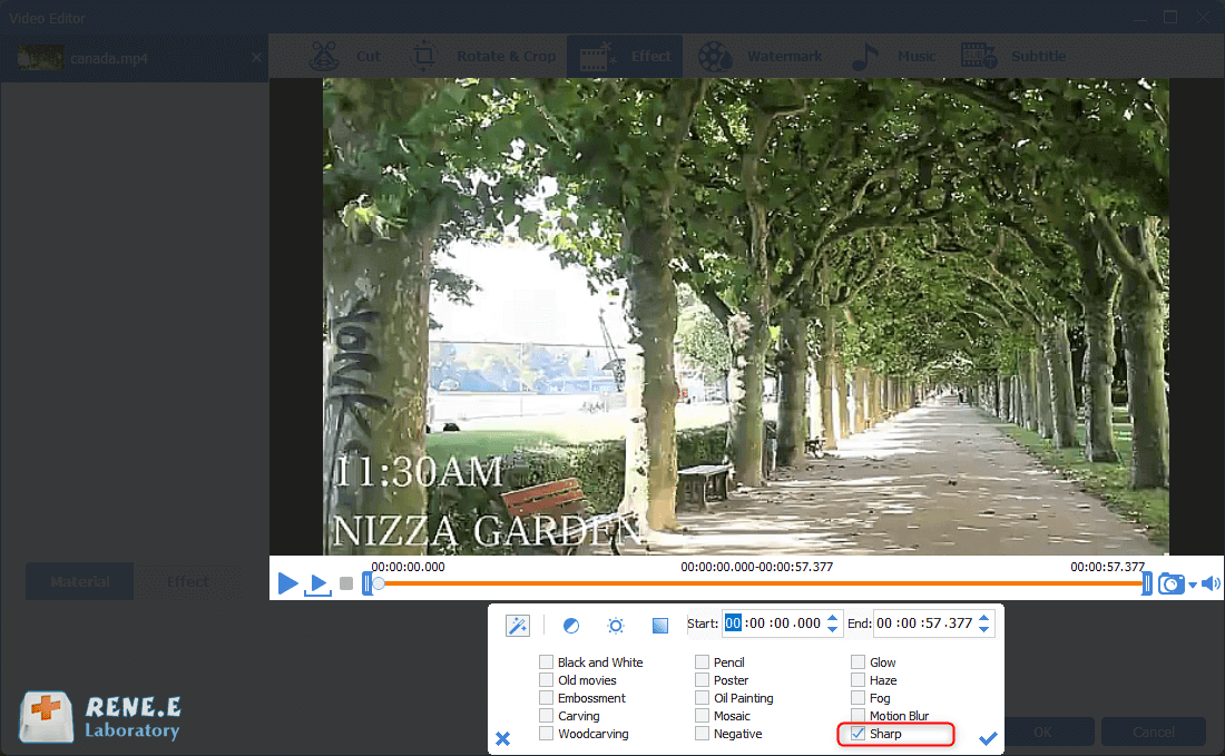 den Schärfefilter in renee video editor pro hinzufügen