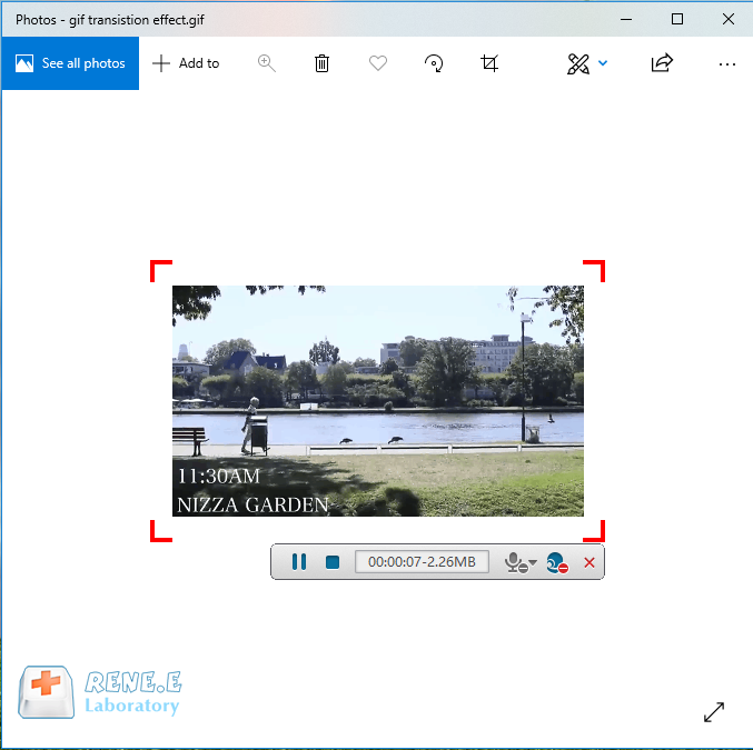 gif in mp4 konvertieren mit renee video editor pro