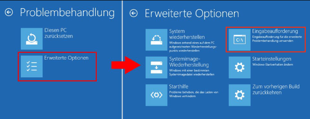 Wählen Sie die Eingabeaufforderung in der erweiterten Option