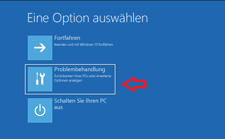 Auswählen, um den Bildschirm mit den Windows-Wiederherstellungsoptionen zur Fehlerbehebung auszuführen