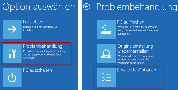 Erweiterte Optionen auswählen